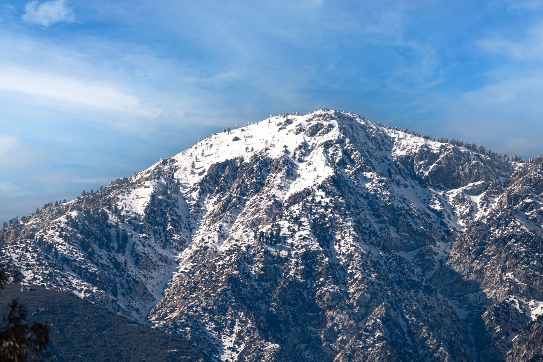 Pest control service area in Rancho Cucamonga, California — Rollies Pest Control