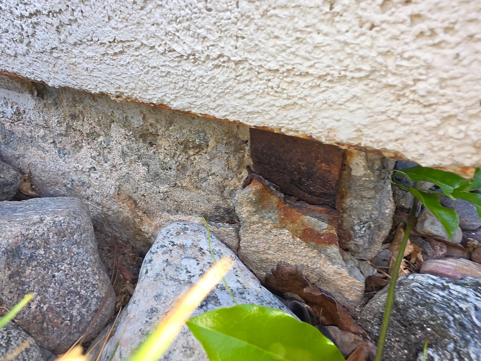 Ant activity traveling along a protected exterior foundation gap