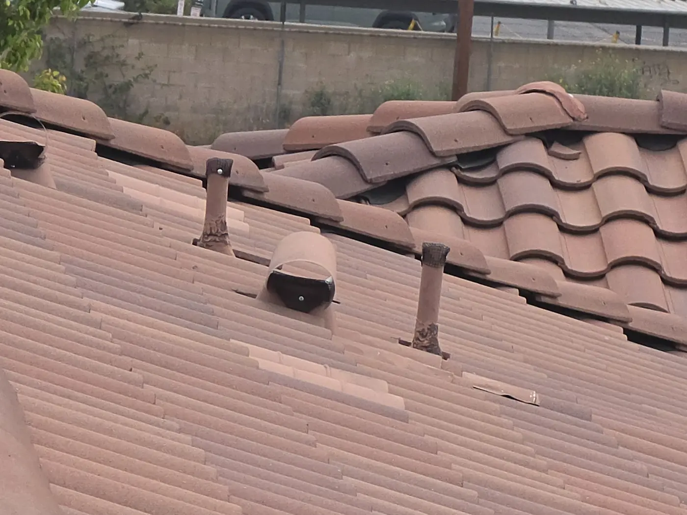 Screened roof penetrations after accessible rodent exclusion work at a commercial property