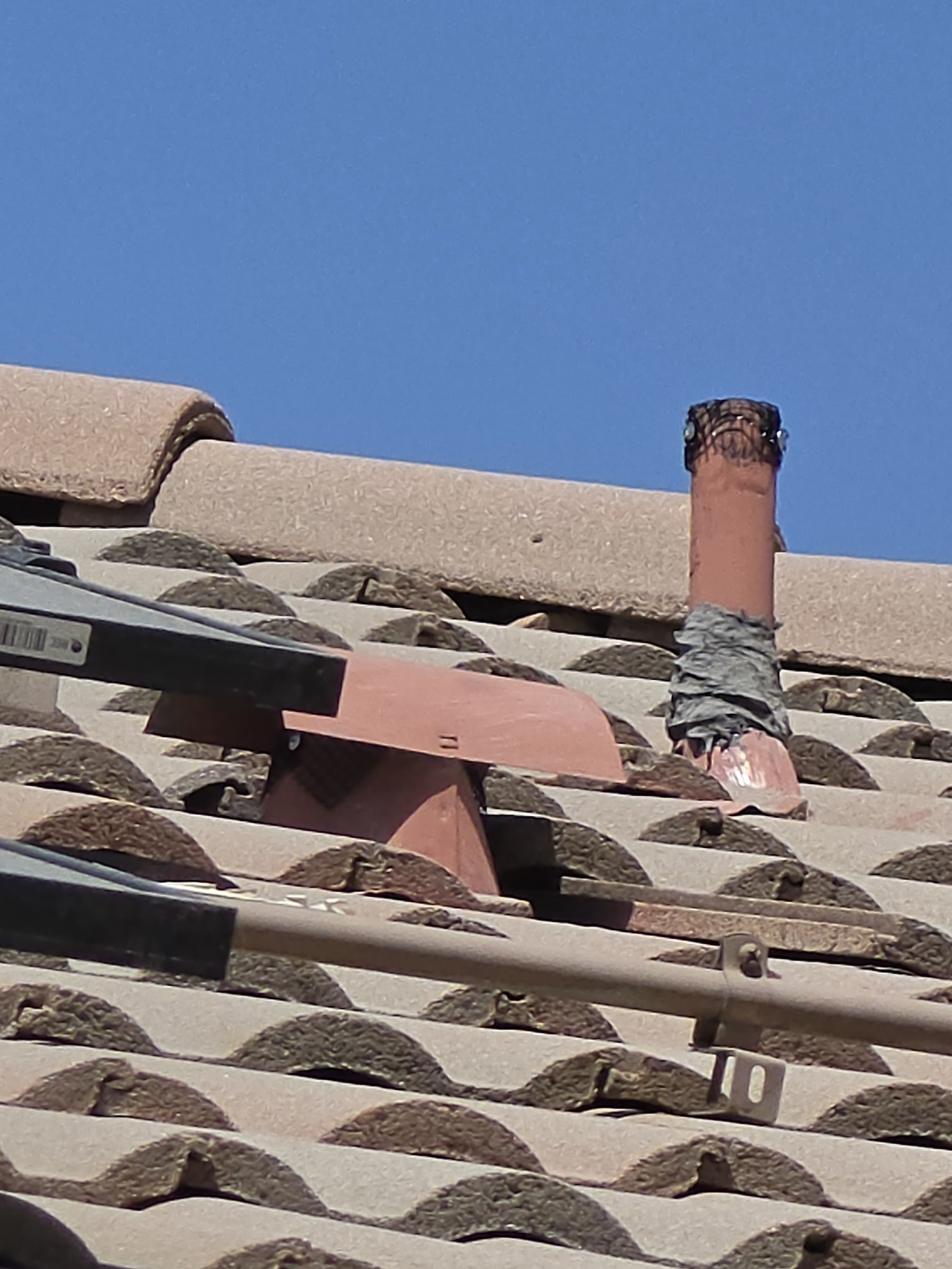 Close view of metal screening secured over a roof vent pipe